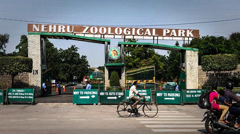 Zoo Park-Tourist place in hyderabad